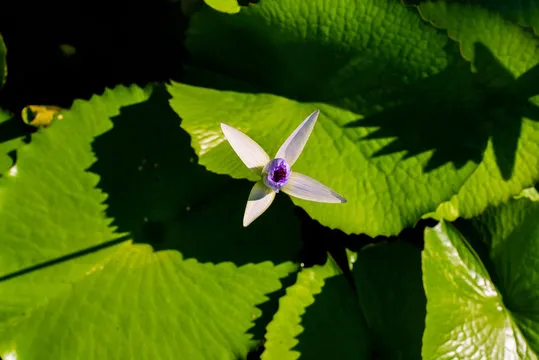 SG飞艇帮助中心